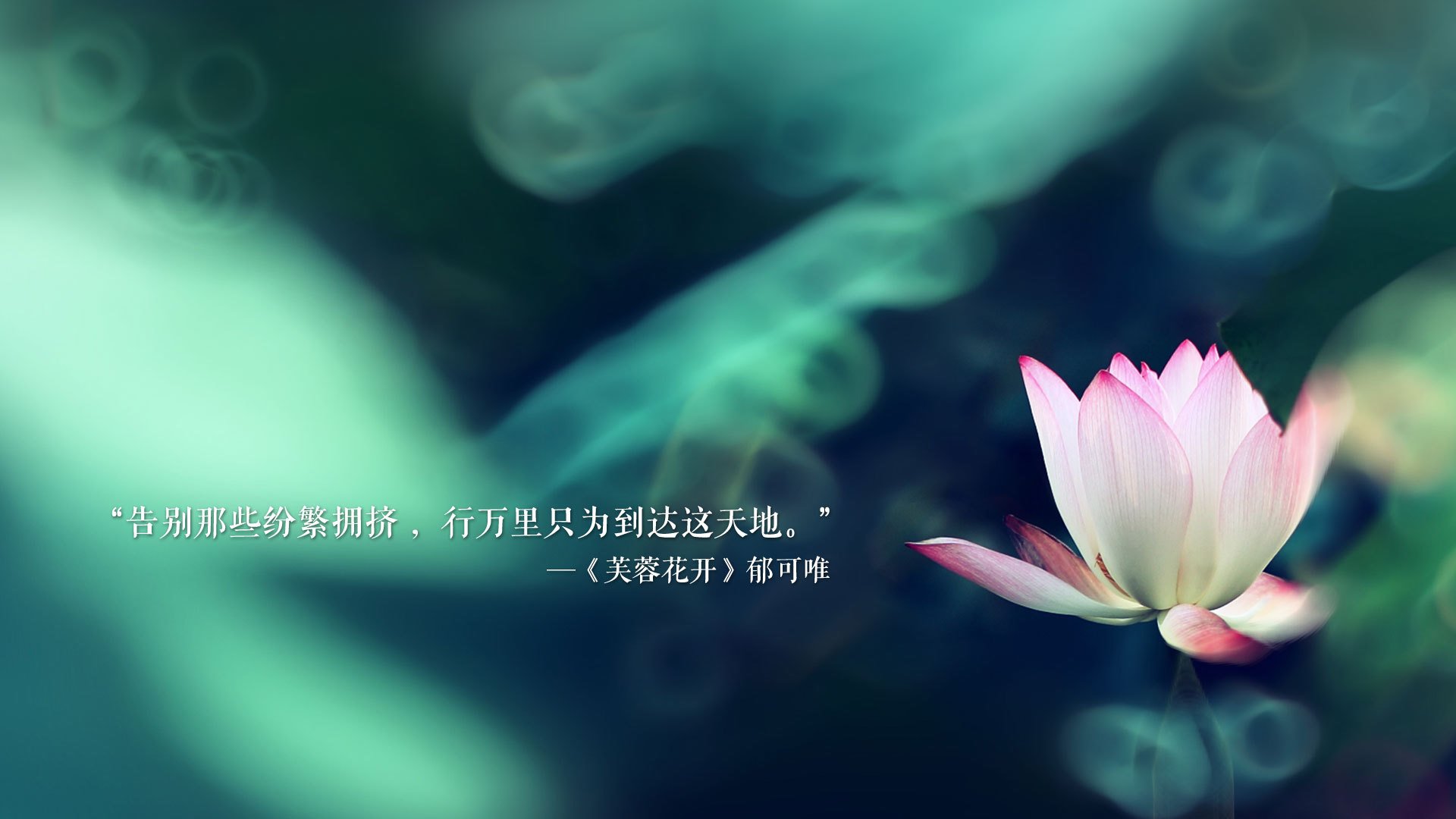 中乙联赛新赛季参赛队伍名单出炉，中乙联赛新赛季参赛队伍名单出炉时间