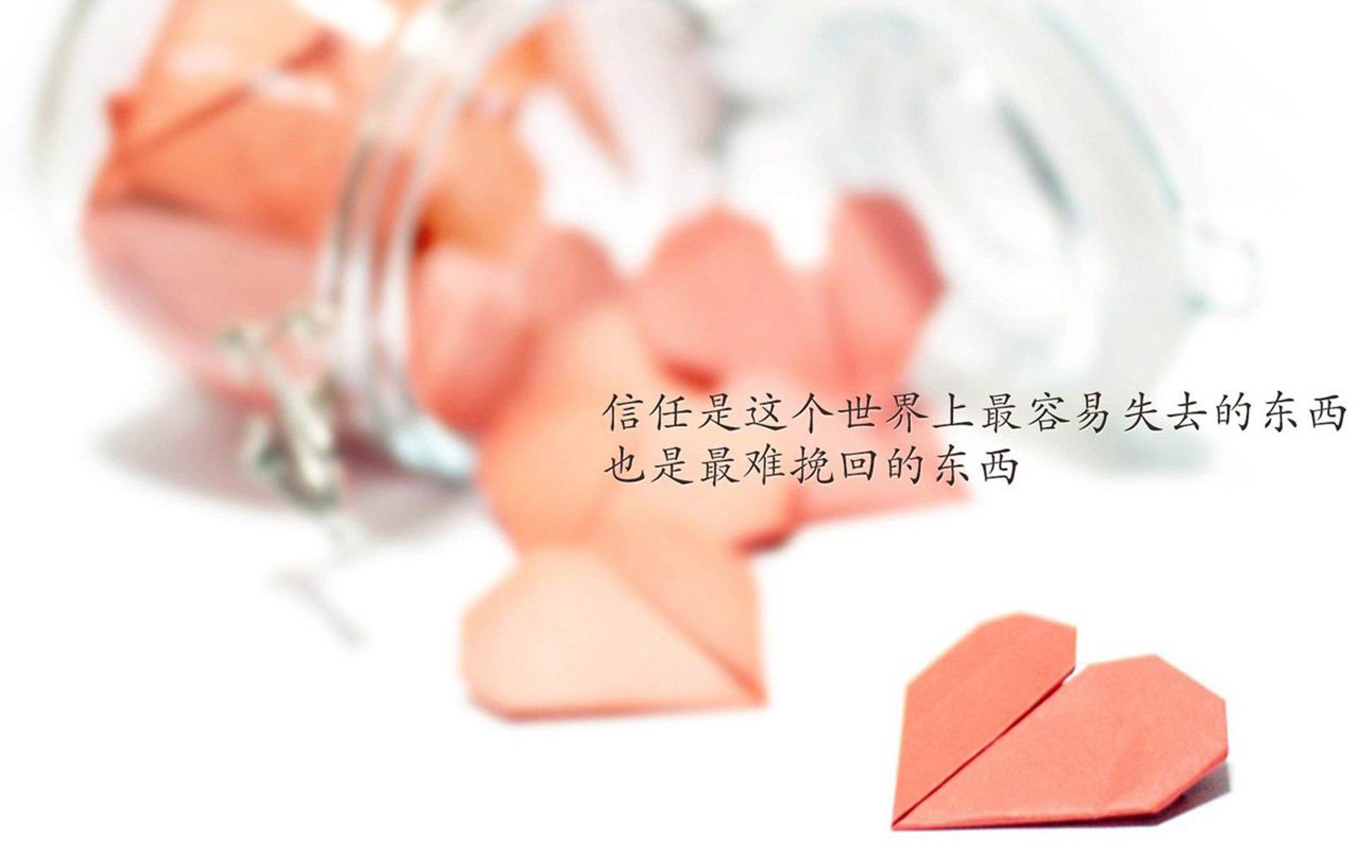 开云体育视频直播-本泽马荣获欧洲杯金球奖，本泽马欧冠