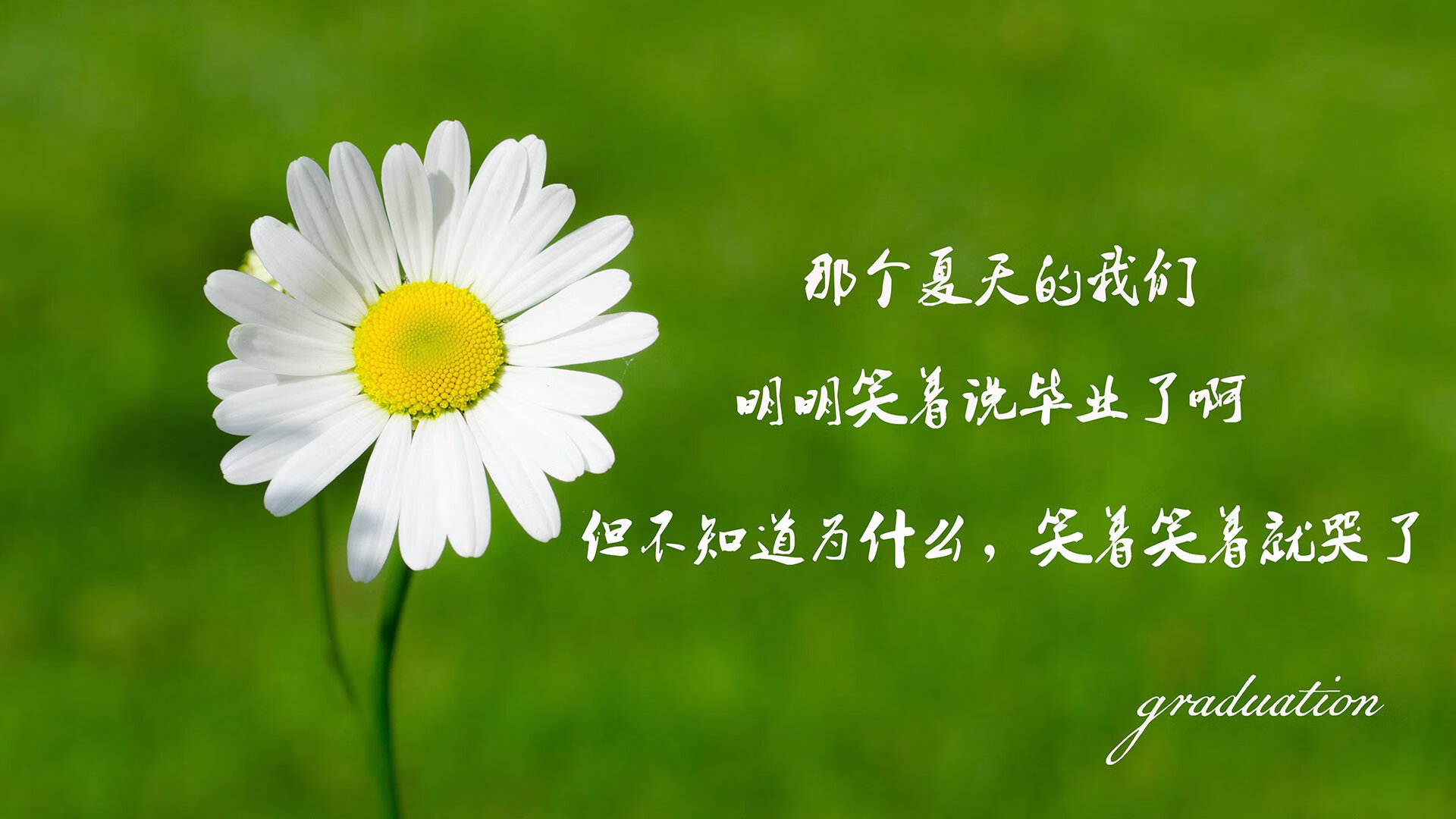 比赛回顾经典五大逆转瞬间，世界十大逆转比赛