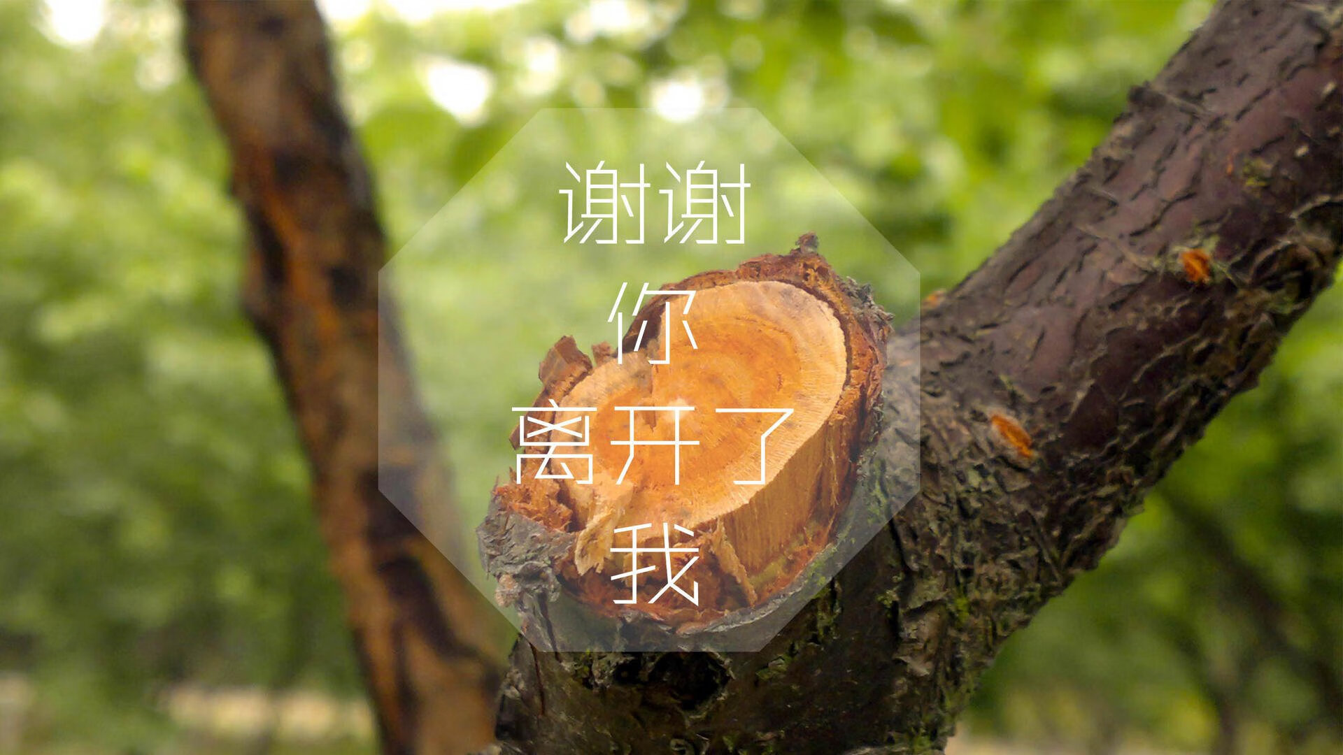 kaiyun官方入口登录-瑞安：凭借稳定的表现逐渐确立在全黑队的核心地位，瑞安扫黑除恶最新消息