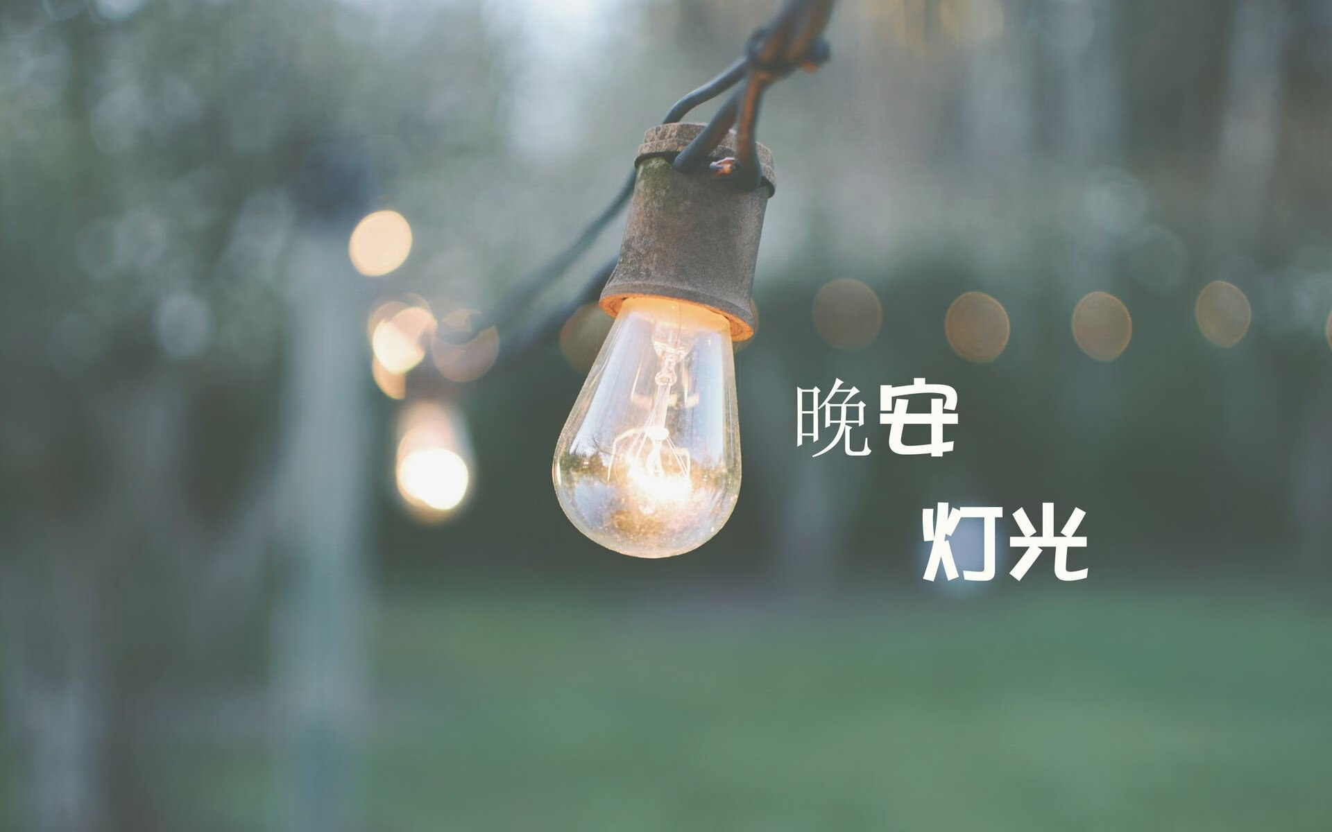 蛙泳冲刺波兰表现抢眼，蛙泳比赛都采用波蛙吗