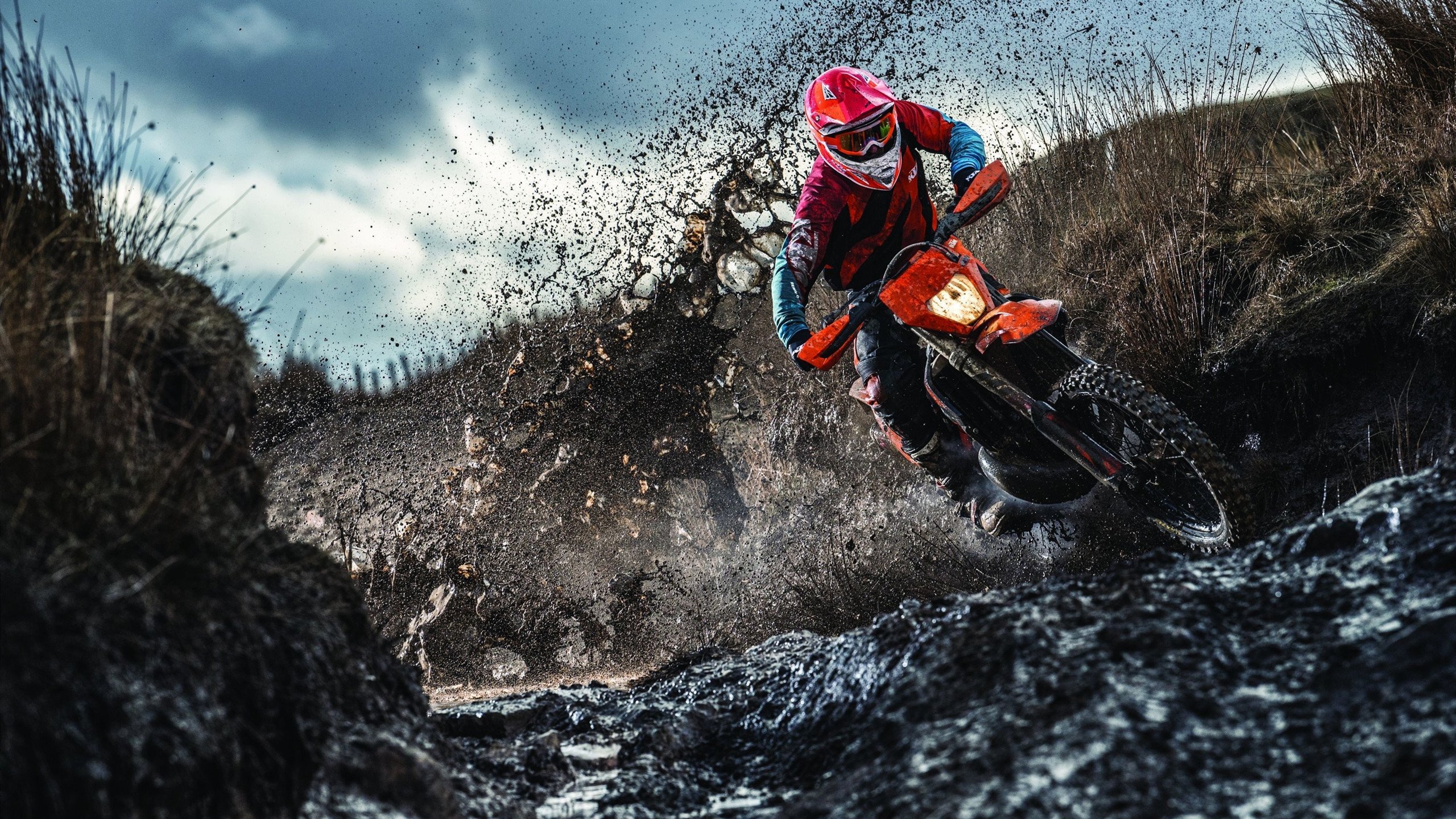 WRC年度评选：最佳表现与精彩瞬间盘点，wrc比赛规则